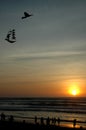 Kites flying at the beach with sunset Royalty Free Stock Photo