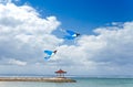 Kites flying on blue sky Royalty Free Stock Photo