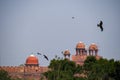 Kites flying over lal quila or red fort in delhi. Famous tourist attraction in india Royalty Free Stock Photo