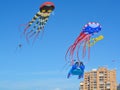 Kites flying over Treasure Island Beach, Florida Royalty Free Stock Photo