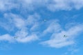 Kites flying in sky Royalty Free Stock Photo