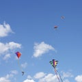 Kites Flying together Royalty Free Stock Photo