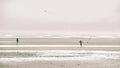 Kites and people walking on the sandy sea beach.Flying kites on the seashore. Sea recreation and vacation. People fly a