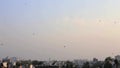 Kites in sky, arial view from terrace