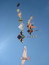 Kites in the sky Royalty Free Stock Photo