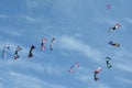 Kites soaring in the sky.