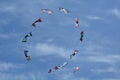 Kites soaring in the sky.