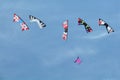 Kites soaring in the sky.