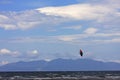 Kitesurfer