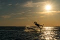 Kitesurfer doing unhooked backroll in sunset with sunstar and silhouette