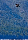 Kitesurfer getting some big air Royalty Free Stock Photo