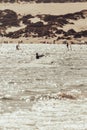 Kitesurfer gliding over the water near a sandy beach, Tarifa, Spain Royalty Free Stock Photo