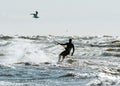 Kitesurfer rides the waves in stormy weather Royalty Free Stock Photo