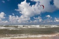 Kitesurfer and seagull Royalty Free Stock Photo