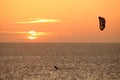 Kitesurfer at sunset Royalty Free Stock Photo