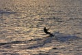 Kitesurfer at sunset Royalty Free Stock Photo