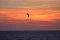 Kitesurfer at sunset Royalty Free Stock Photo