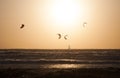 Kitesurfers ride on a background of colorful sunset Royalty Free Stock Photo