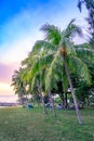 Camping along seaside of East Coast Park, Singapore.