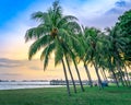 Camping along seaside of East Coast Park, Singapore.