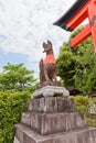 Kitsune fox statue in Fushimi Inari Shrine of Kyoto, Japan