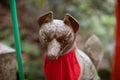 Kitsune Statue at Sasuke Inari Shrine