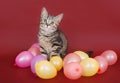 Kitten with balloons