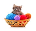 Kitten with balls of yarn in the basket Royalty Free Stock Photo