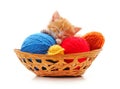 Kitten with balls of yarn in the basket Royalty Free Stock Photo