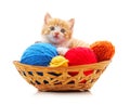 Kitten with balls of yarn in the basket Royalty Free Stock Photo