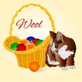 Kitten and a basket with balls of wool vector