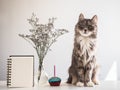 Kitten, beautiful flowers and blank notebook page