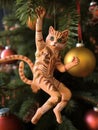 Tree domestic christmas kitty pet cat holiday cute feline animal kitten Royalty Free Stock Photo