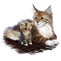 A kitten and a big red cat on a plaid blanket. Watercolor drawing. Watercolor drawing Royalty Free Stock Photo