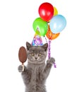 Kitten in birthday hat with bunch of balloons and ice cream. isolated on white background Royalty Free Stock Photo