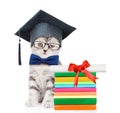 Kitten with black graduation hat sitting near books with diploma. isolated on white background Royalty Free Stock Photo