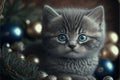 a kitten with blue eyes sitting in a basket with ornaments around it and a christmas tree in the background Royalty Free Stock Photo