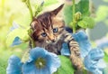 Kitten with blue mallow flowers Royalty Free Stock Photo