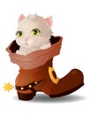 Kitten in a boot