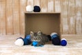 Kitten in a Box of Blue and White Yarn