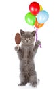 Kitten with bunch of balloons and ice cream. isolated on white background Royalty Free Stock Photo