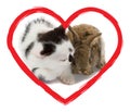 Kitten and bunny in heart Royalty Free Stock Photo