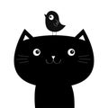 Kitten cat face head silhouette and funny bird. Cute black cartoon character. Kawaii baby pet animal. Notebook cover, tshirt,