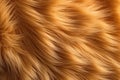 Kitten cat pet soft fur skin with long hair brown color texture background close up wool seamless pattern created with Generative Royalty Free Stock Photo