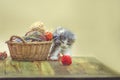 Kitten with colorful wool yarn balls Royalty Free Stock Photo