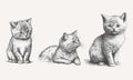 Kitten cute sketch art. Cat set hand drawning. Generative ai