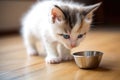 kitten drinking milk from a bowl