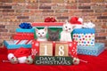 Kitten eighteen days til Christmas