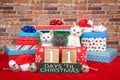 Kitten eleven days til Christmas