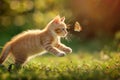 A kitten energetically chasing a fluttering butterfly in the grass, A playful kitten chasing a butterfly Royalty Free Stock Photo